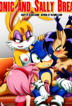 Palcomix - Sonic and Sally Break Up (Sonic the Hedgehog)