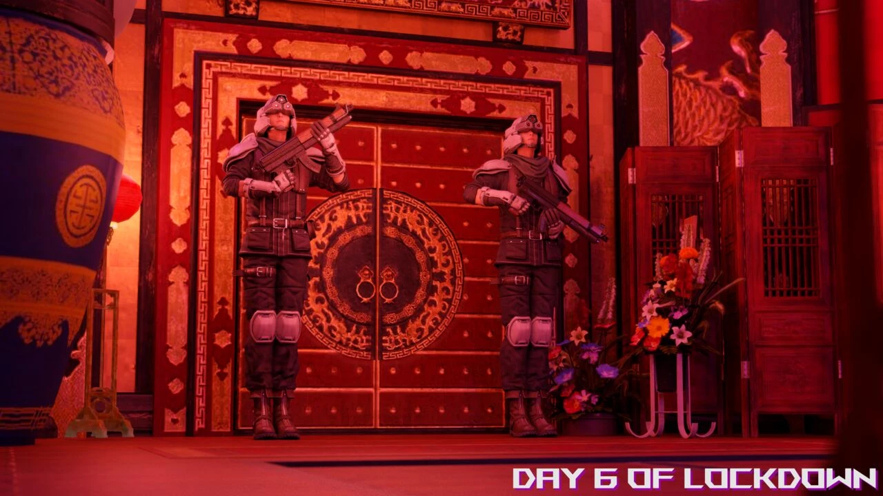 Lockdown Blues image number 24