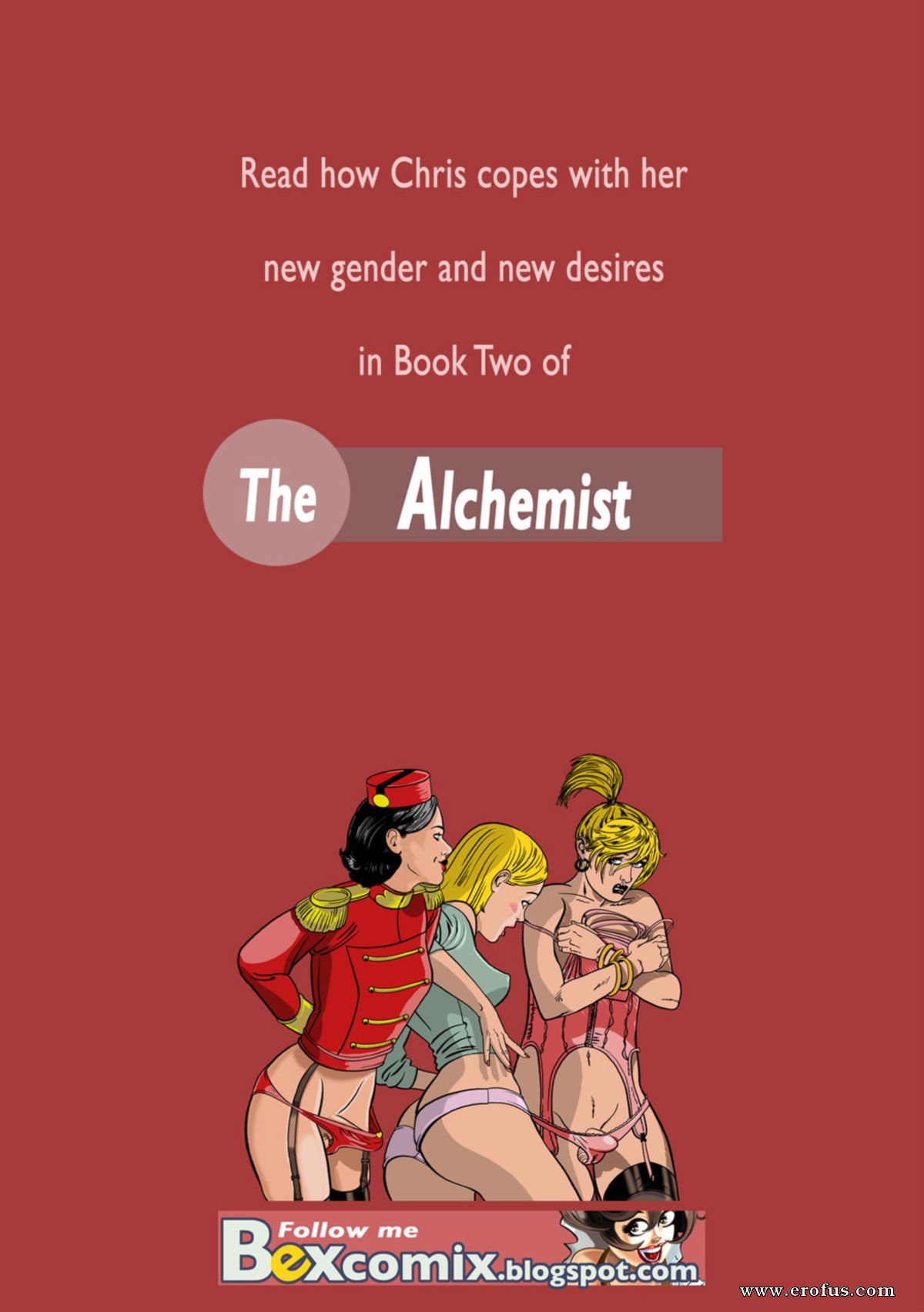 The Alchemist image number 22