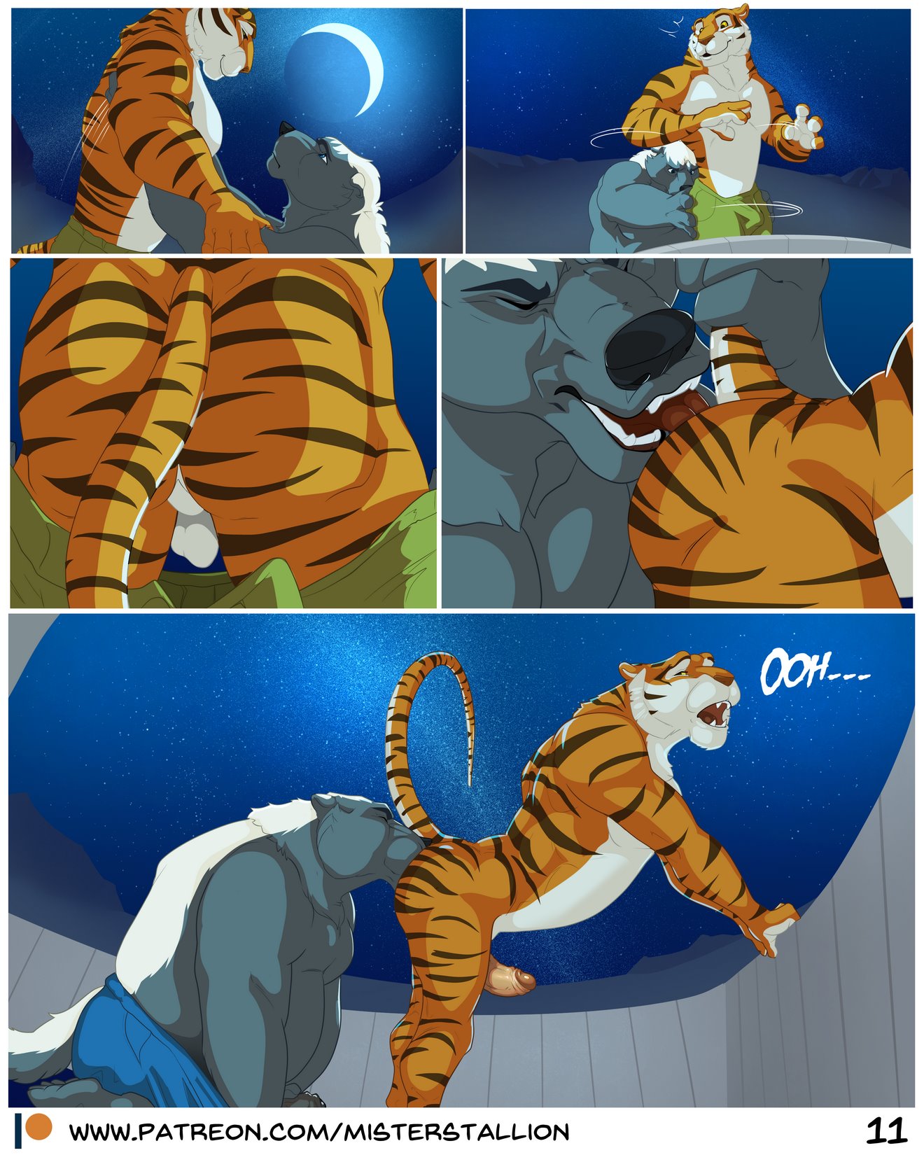 Housewarming image number 10