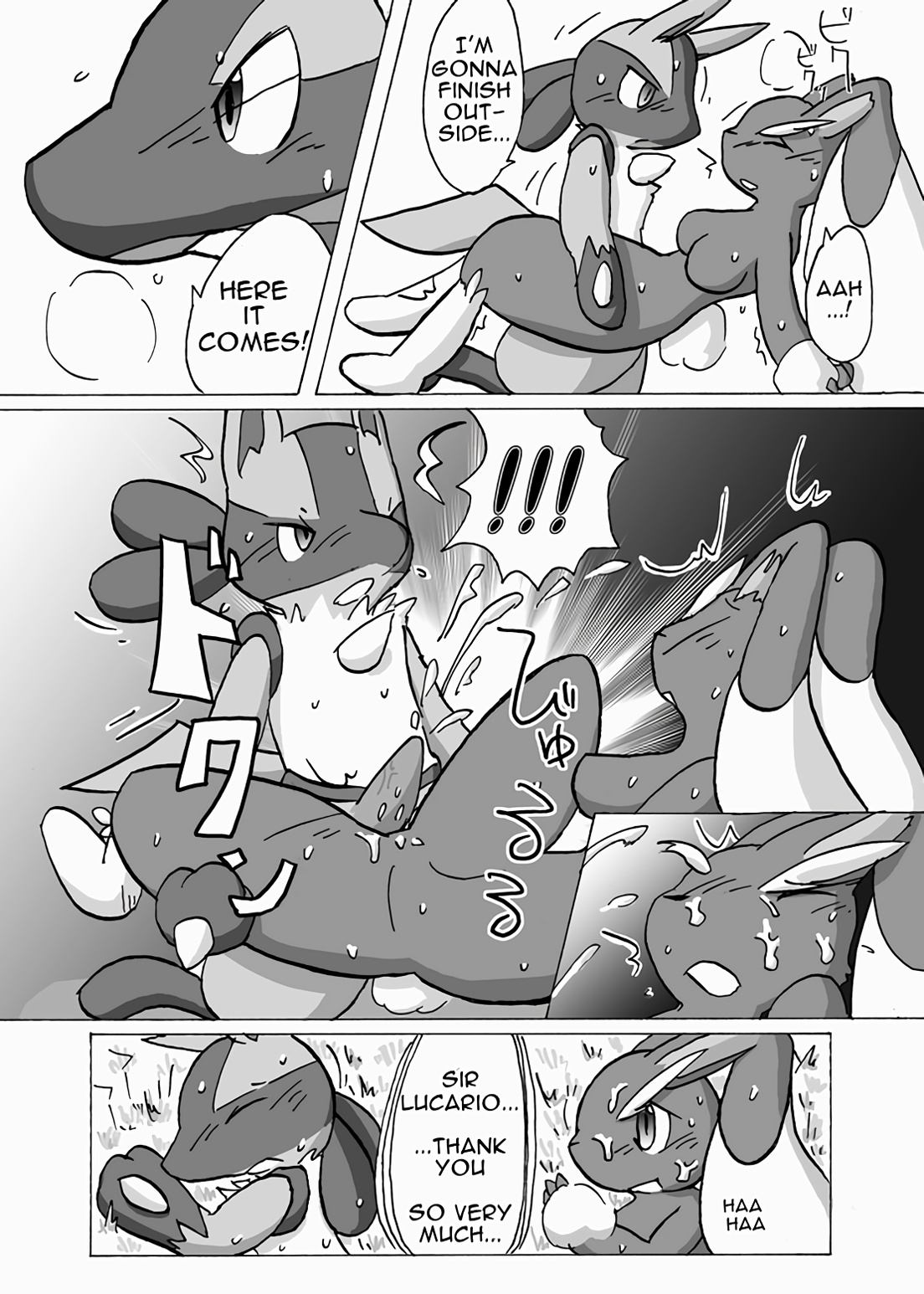 Lucario X Lopunny image number 12